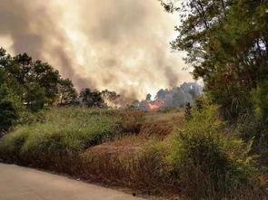 桂平最新爆料事件视频,视频揭露惊人真相! 第2张 桂平最新爆料事件视频,视频揭露惊人真相! 第2张